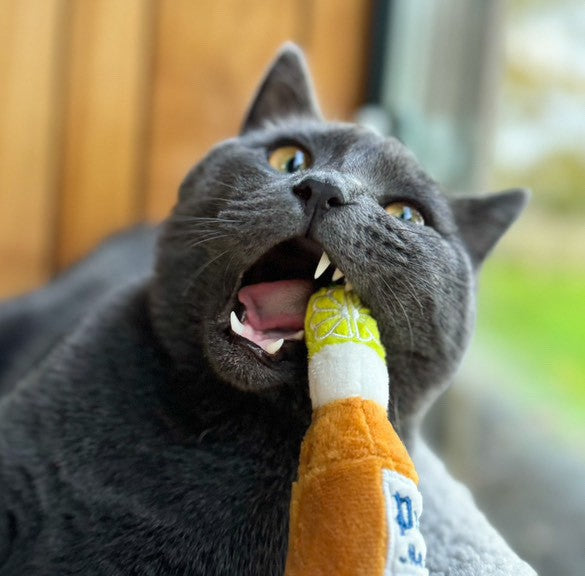 Purrona (Bottle & Ball) Catnip Toys