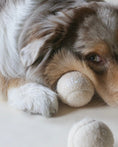 Load image into Gallery viewer, Lilco Tennis Ball | Moonbeam
