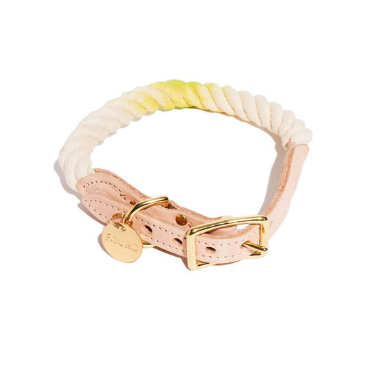 Dog Collars Premium Lime Cotton Rope Cat & Dog Collar