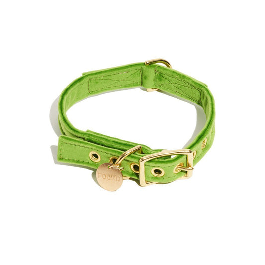 Dog Collars Premium Lime Washable Velvet Cat & Dog Collar