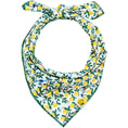 Load image into Gallery viewer, Limoncello Dog Bandana
