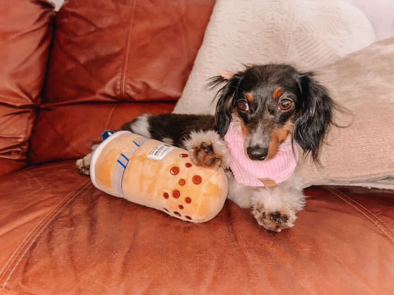 PAWTY BOBA PLUSH DOG TOY - Southlake Paws