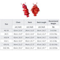 Load image into Gallery viewer, Halloween Lobster Dog Costume - Southlake Paws
