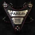 Load image into Gallery viewer, The "Metal" harness- Personalized!
