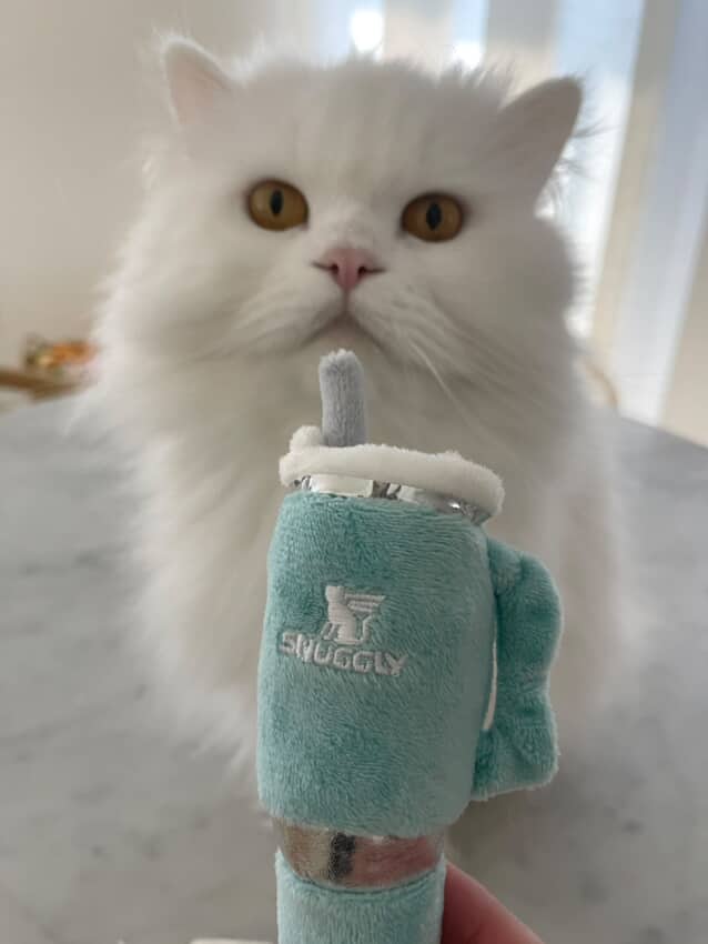 Haute Diggity Kitty Snuggly Cup 3-Pack (Teal, Ivory, Blush)