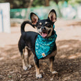 Load image into Gallery viewer, Electric Botanical Dog Bandana
