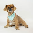 Load image into Gallery viewer, GINGHAM BANDANA - Southlake Paws
