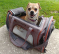 Load image into Gallery viewer, Mr. Peanut's Gold Series Standard Size Airline Compliant Pet Carrier
