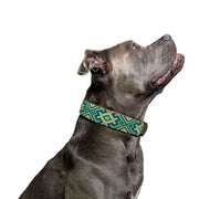 Lucky Sambboho dog collar