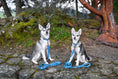 Load image into Gallery viewer, Sky blue EcoBark dog leashes with padded grips, shown on two small dogs sitting on a stone path in a natural setting.
