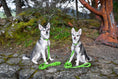 Load image into Gallery viewer, EcoBark Green Dog Leash- Padded Comfort Grip Leash - 4ft, 5ft, and 6ft Dog Leash for Small and Medium Dogs
