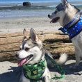 Load image into Gallery viewer, EcoBark Camo Bow Tie Dog Collar in camouflage print, worn by a dog on a beach, with another dog in the background.
