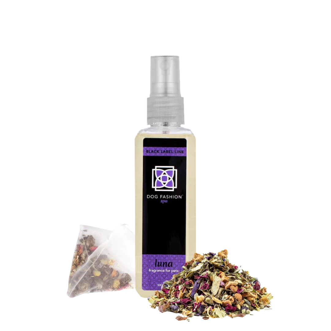  professional dog grooming tool Southlake Paws