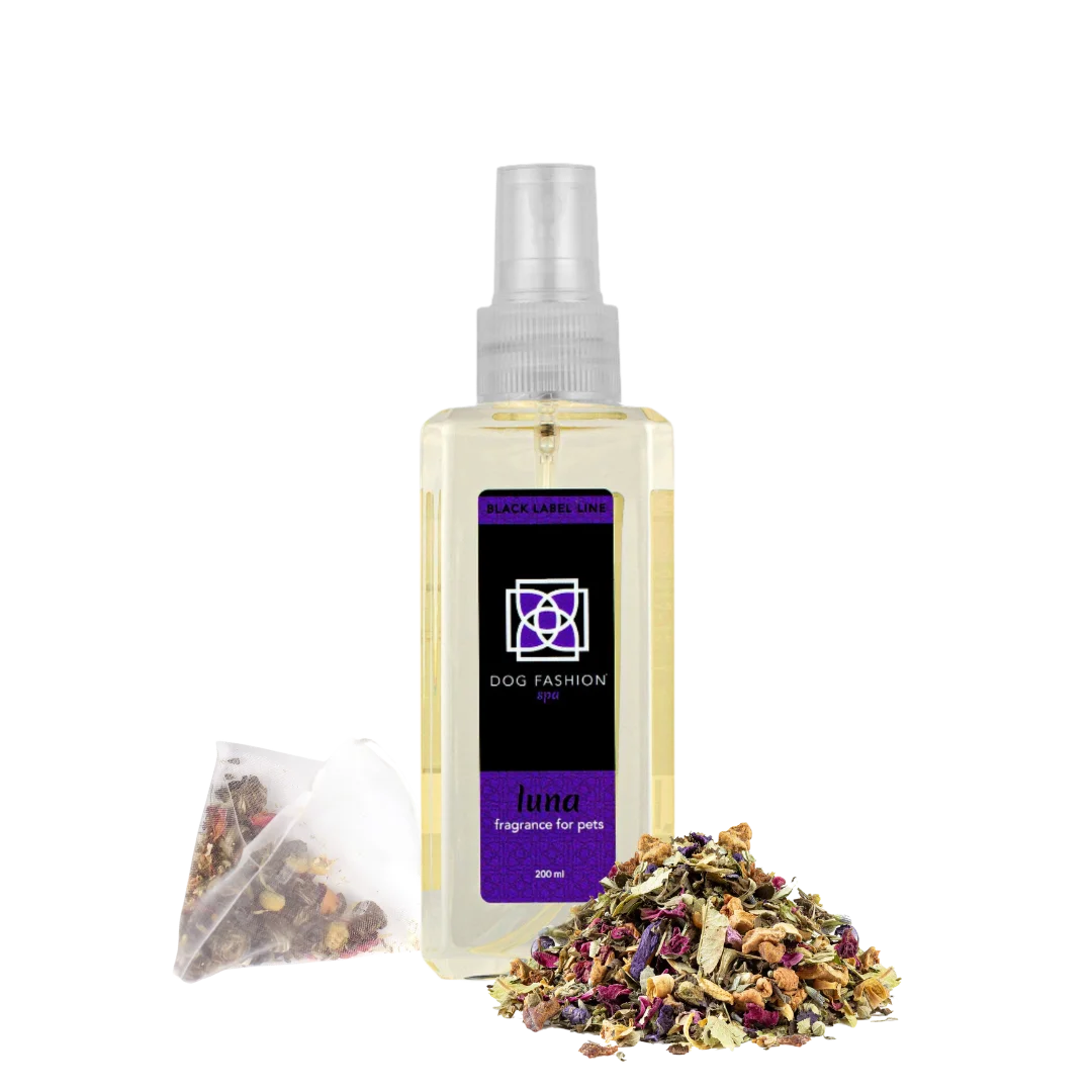  professional dog grooming tool Southlake Paws