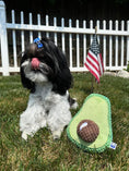 Load image into Gallery viewer, AVOCADO PLUSH DOG TOY - Southlake Paws

