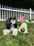 Load image into Gallery viewer, AVOCADO PLUSH DOG TOY - Southlake Paws
