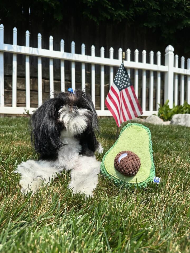 AVOCADO PLUSH DOG TOY - Southlake Paws