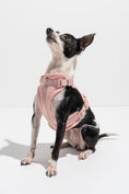 Load image into Gallery viewer, Luxe Harness - Hibiscus - Southlake Paws
