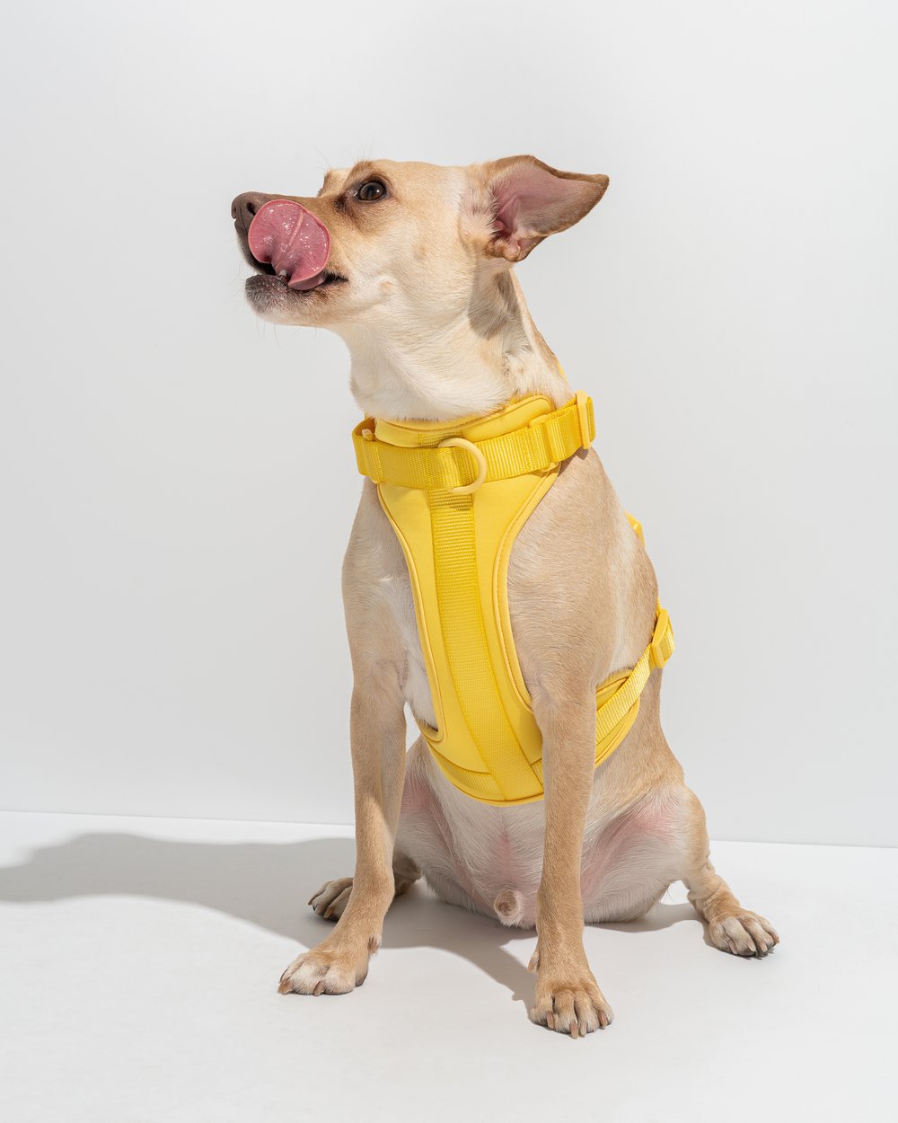 Luxe Harness - Southlake Paws