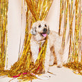 Load image into Gallery viewer, Magenta Ombre Cotton Rope Cat & Dog Collar - image 2
