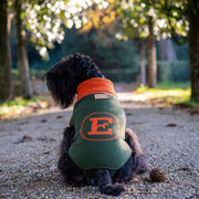Bespoke Dog Sweater Green/Orange Cashmere