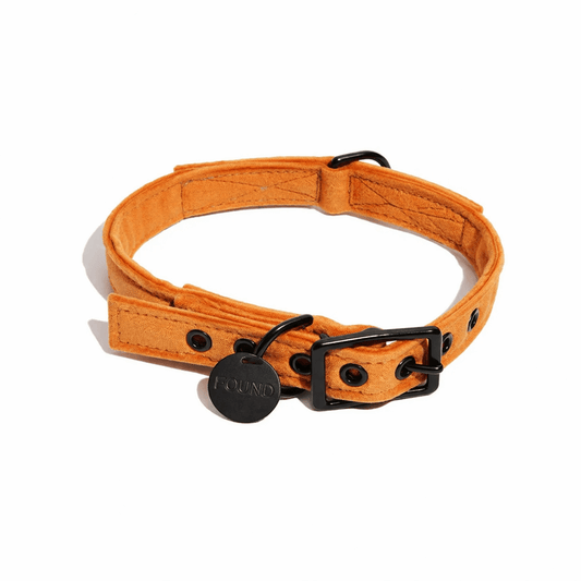 Marigold Washable Velvet Cat & Dog Collar – Matte Black Hardware