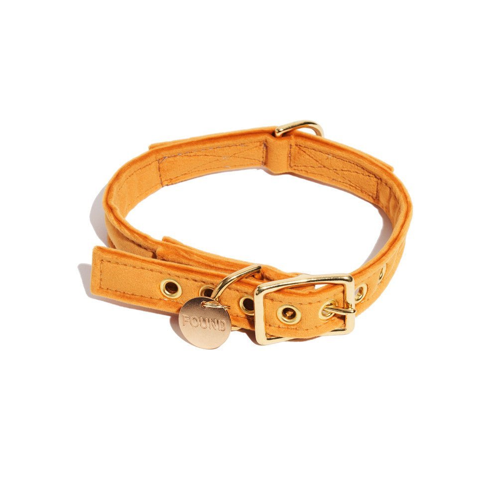 Dog Collars Premium Marigold Washable Velvet Cat & Dog Collar
