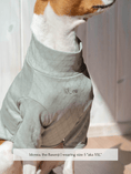 Load image into Gallery viewer, Marlowe Pet
