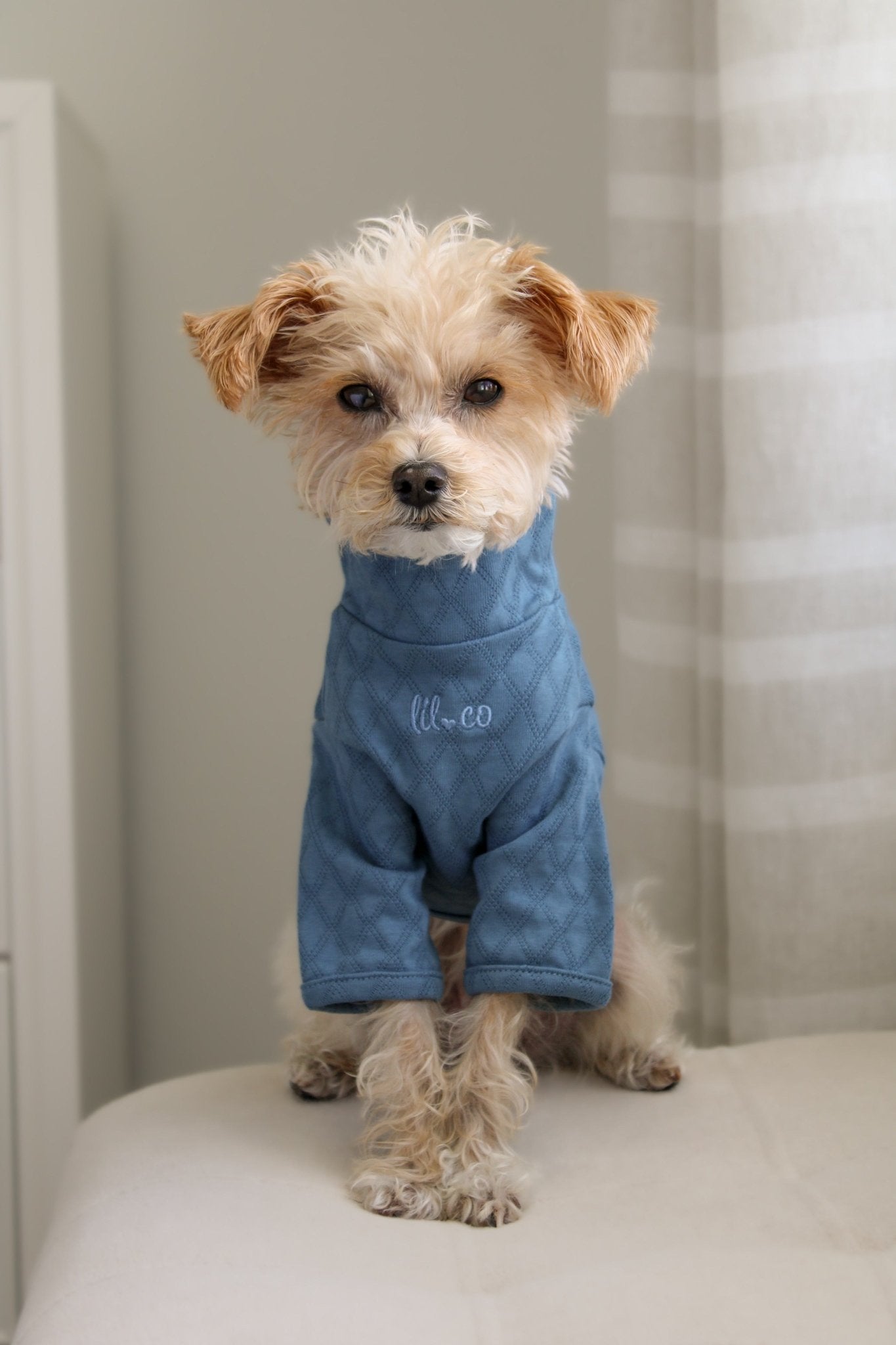 Marlowe Pet