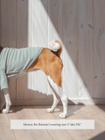 Load image into Gallery viewer, Marlowe Pet
