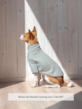 Load image into Gallery viewer, Marlowe Pet

