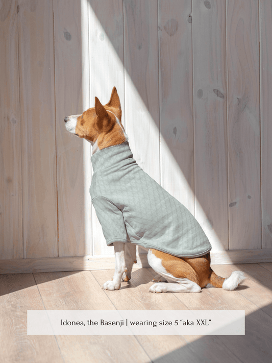Marlowe Pet