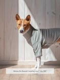 Load image into Gallery viewer, Marlowe Pet
