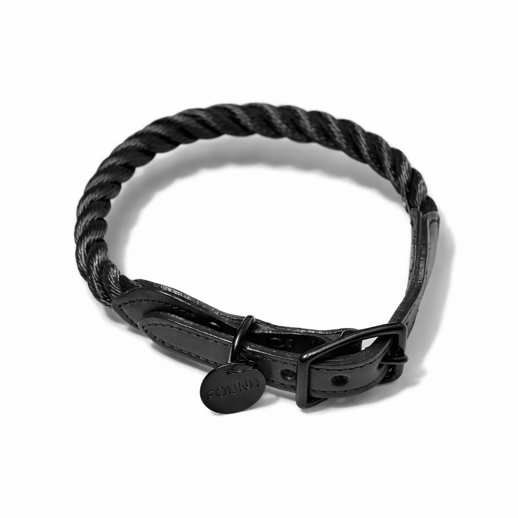 Dog Collars Premium New! Matte Black Rope & Leather Cat & Dog Collar