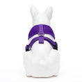 Load image into Gallery viewer, EcoBark Purple Dog Harness - Over-the-Head Soft Mesh Dog Vest Halter for Small to Medium Dogs and Puppies
