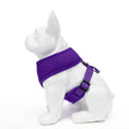 Load image into Gallery viewer, EcoBark Purple Dog Harness - Over-the-Head Soft Mesh Dog Vest Halter for Small to Medium Dogs and Puppies
