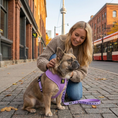 Load image into Gallery viewer, EcoBark Lavender Dog Harness - Over-the-Head Soft Mesh Vest Halter for XS to Medium Breed Dogs

