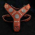 Load image into Gallery viewer, The "Maximus" Dogs and pets silver harness
