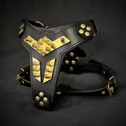 'Midas'' leather dog harness gold medium size