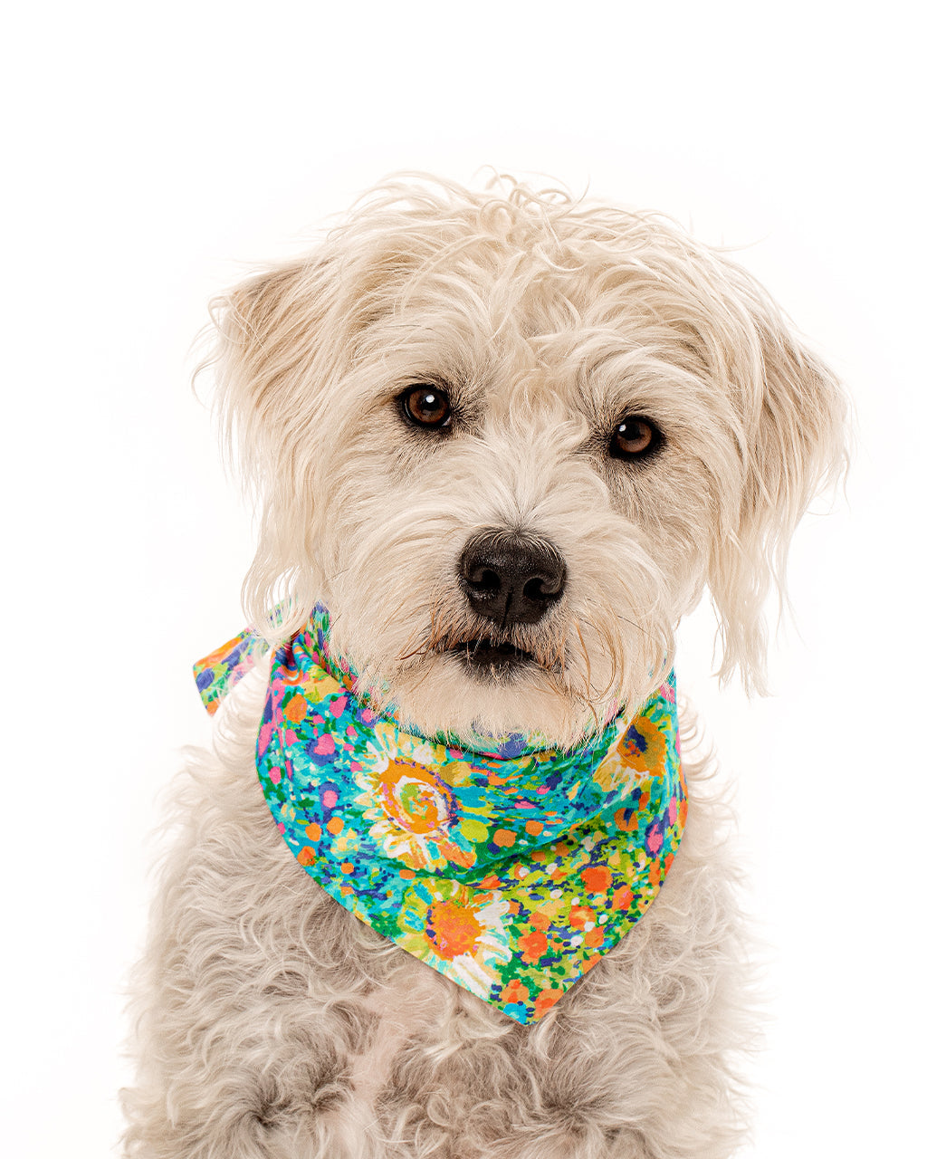 FLORAL BANDANA - Southlake Paws