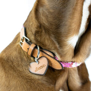 Melrose Sambboho dog collar (rolled)