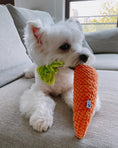 Load image into Gallery viewer, CARROT TUG ROPE INTERACTIVE DOG TOY - Southlake Paws
