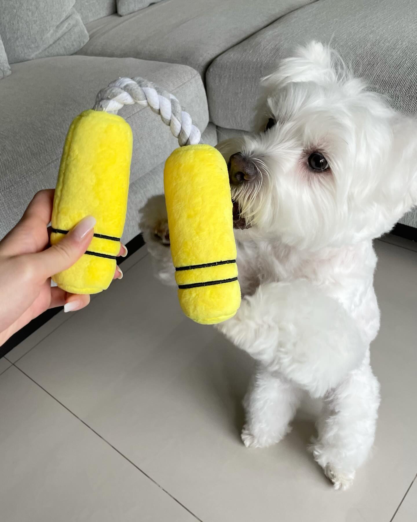 NUNCHUCKS TUG ROPE INTERACTIVE TOY - Southlake Paws