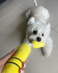 Load image into Gallery viewer, NUNCHUCKS TUG ROPE INTERACTIVE TOY - Southlake Paws
