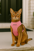 Load image into Gallery viewer, Parisian Pet 'Pink Dot Harness' for Dogs & Cats – Adjustable, Comfortable Pink Polka Dot Dog Harness, Stylish Fit for Small Pets
