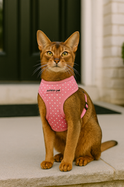 Parisian Pet 'Pink Dot Harness' for Dogs & Cats – Adjustable, Comfortable Pink Polka Dot Dog Harness, Stylish Fit for Small Pets