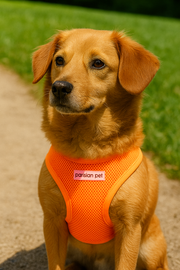 Parisian Pet 'Freedom Harness' for Dogs & Cats – Adjustable Neon Orange Dog Harness, Comfortable Fit