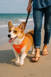 Parisian Pet 'Freedom Harness' for Dogs & Cats – Adjustable Neon Orange Dog Harness, Comfortable Fit