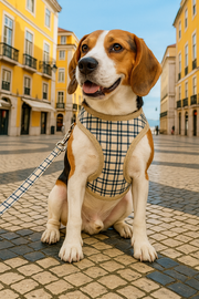 Parisian Pet 'Freedom Harness Khaki Plaid' for Dogs & Cats – Comfortable and Adjustable Dog Harness, Stylish Khaki Plaid Design
