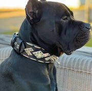 The ''Midas'' Collar Silver 